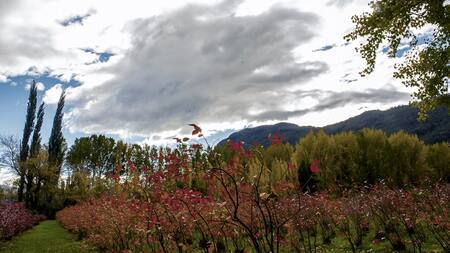 Comarca Andina. Foto: Télam