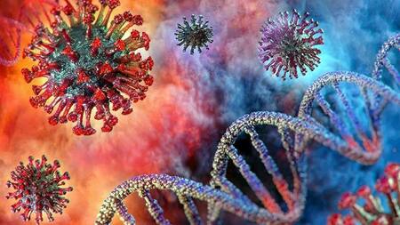 Coronavirus, mundo, pandemia