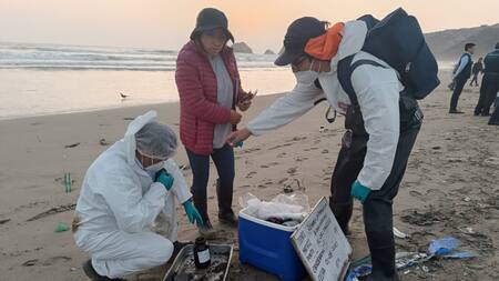Investigación contra los que resulten responsables de la contaminación del ambiente, tras hallar hidrocarburo en la Playa Los Delfines. Foto Twitter @FiscaliaPeru.