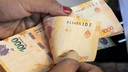 Pesos argentinos, dinero. Foto: NA