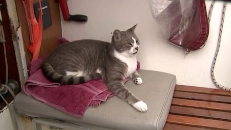 Oli a bordo del Sylph VI. Foto: Reuters.