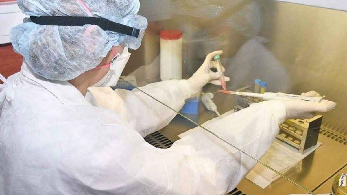 Coronavirus, laboratorio