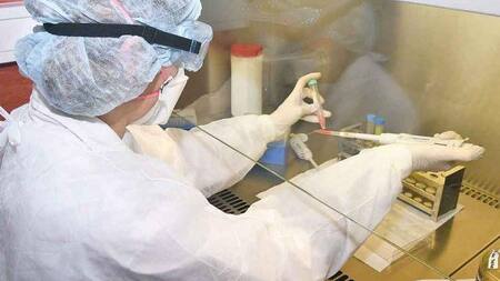 Coronavirus, laboratorio