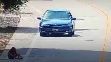 Un episodio aterrador en Punta Lara. Foto: captura.