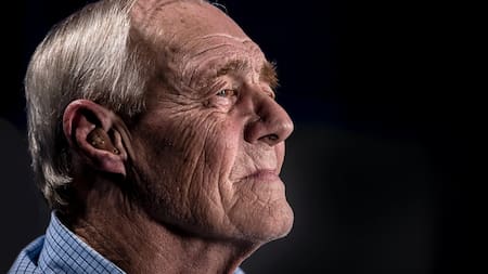 Canas. Foto: Unsplash