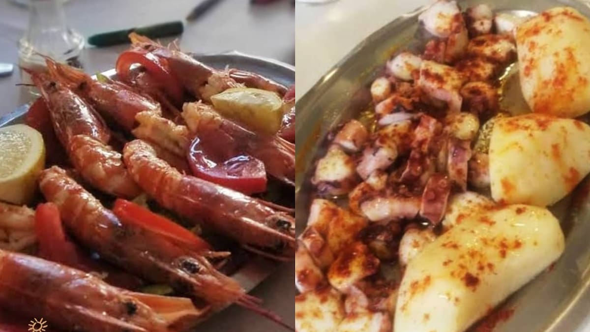 Platos XL y la mejor comida gallega de Buenos Aires: el imperdible bodegón en Caballito para comer pescados y mariscos frescos