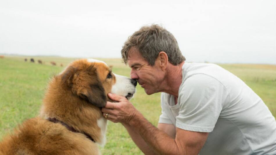 La razón de estar contigo. Foto: Netflix.