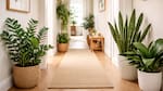 Un pasillo lleno de vida: tres plantas hermosas que casi no necesitan luz y transforman cualquier espacio