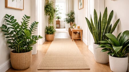 Un pasillo lleno de vida: tres plantas hermosas que casi no necesitan luz y transforman cualquier espacio