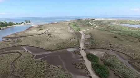 Reserva Natural Municipal Punta Rasa. Foto: reservanaturalpuntarasa.com.