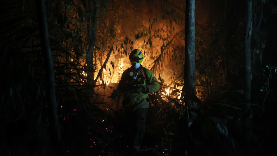 Incendios forestales en Bolivia. Foto: EFE