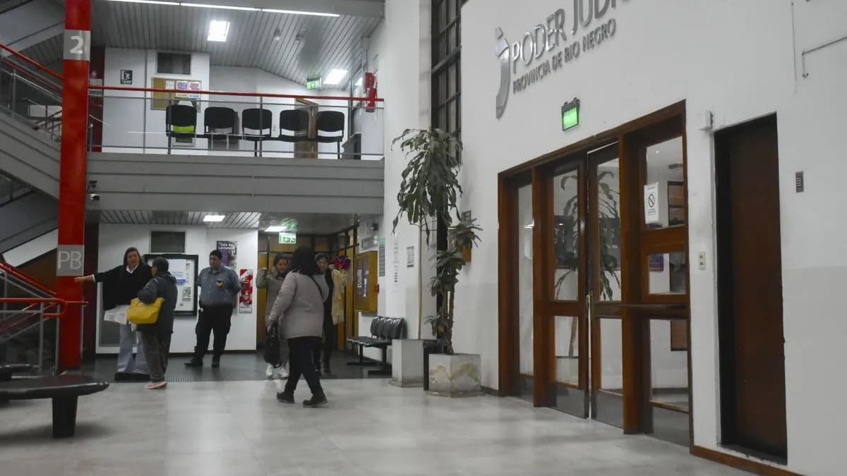 La despidieron de la Justicia, reintegró $45 millones y ahora evitará el juicio con una probation.