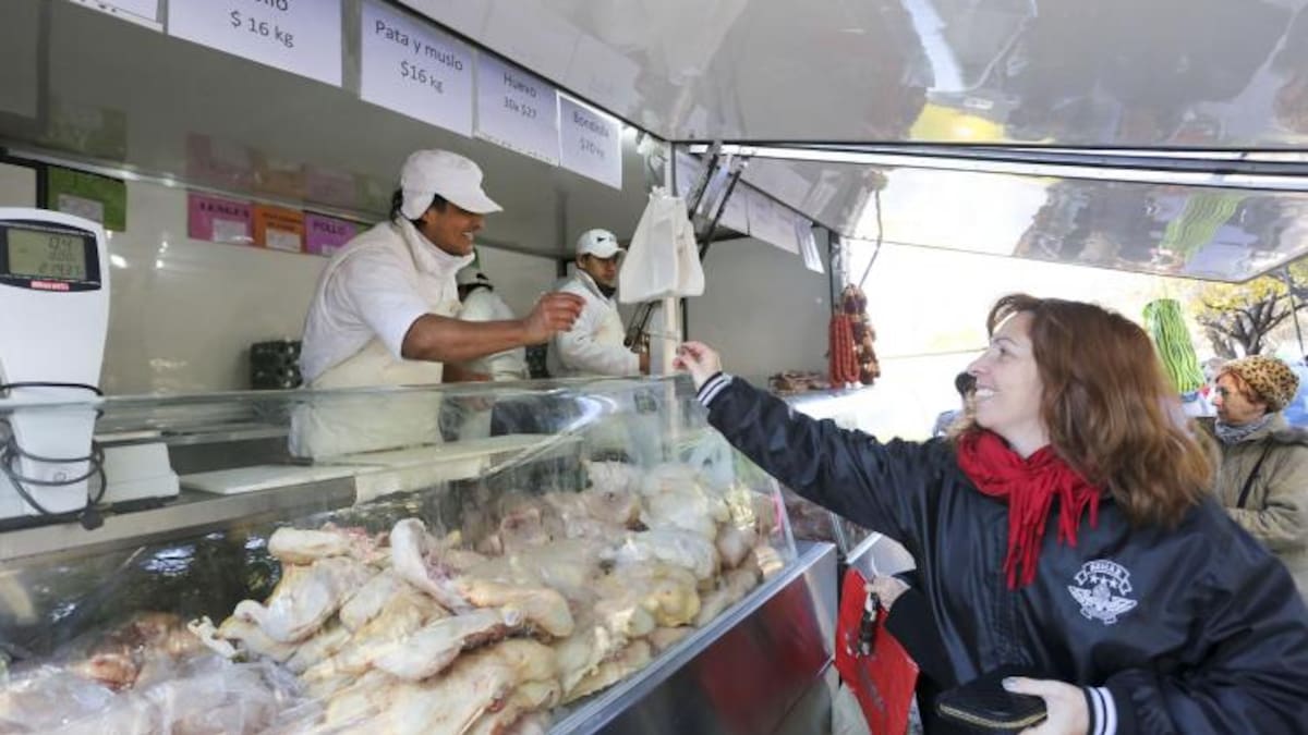 Ferias de la Ciudad.