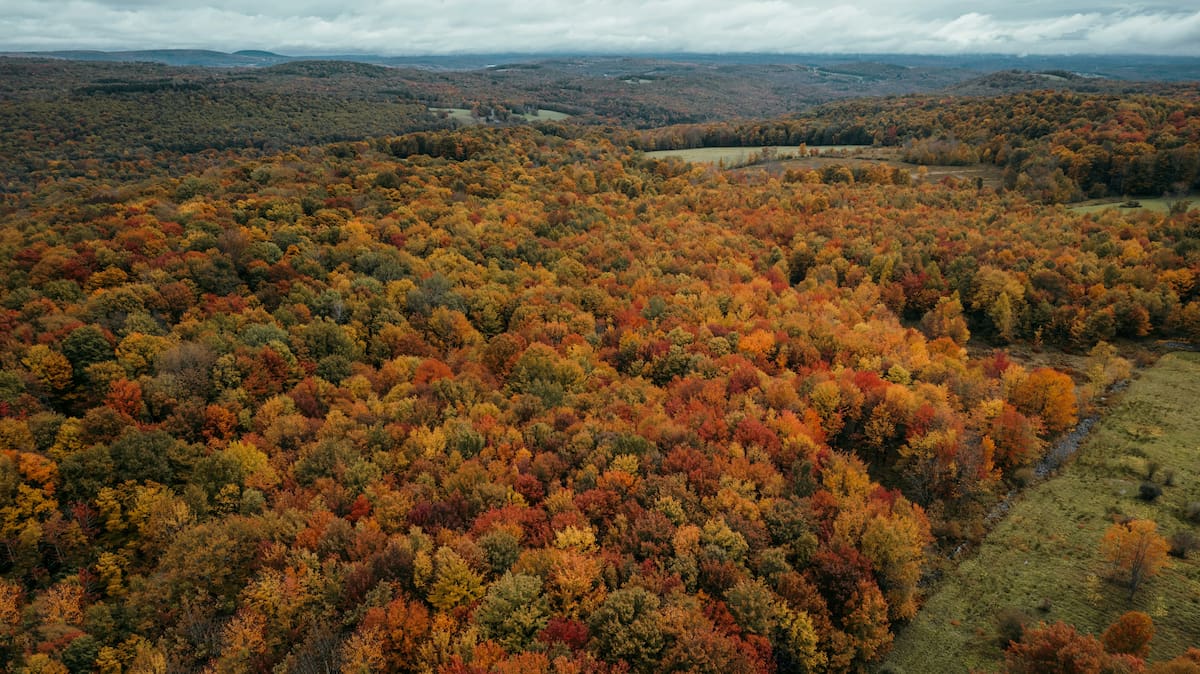 Montañas de Catskill, en Nueva York.