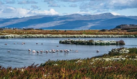 Reserva Laguna Nimez, Santa Cruz, Patagonia. Foto NA