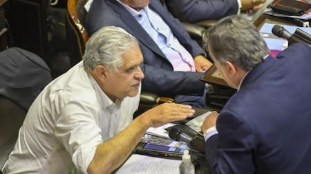 Ricardo López Murphy, foto NA