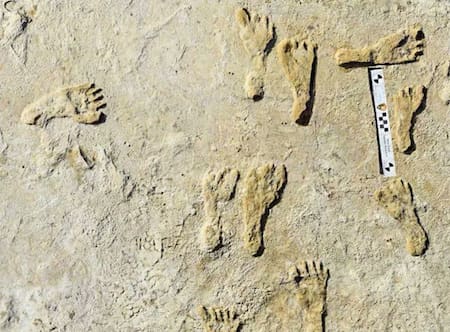 Huellas en el Parque Nacional White Sands, Estados Unidos. Foto: X