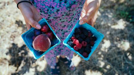 Frutas, alimento, fibra, dieta saludable. Foto: Unsplash