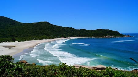 Praia dos Naufragados es una playa virgen que queda escondida detrás de un sendero frondoso desde Florianópolis. Cerca de Argentina e ideal para unas vacaciones.