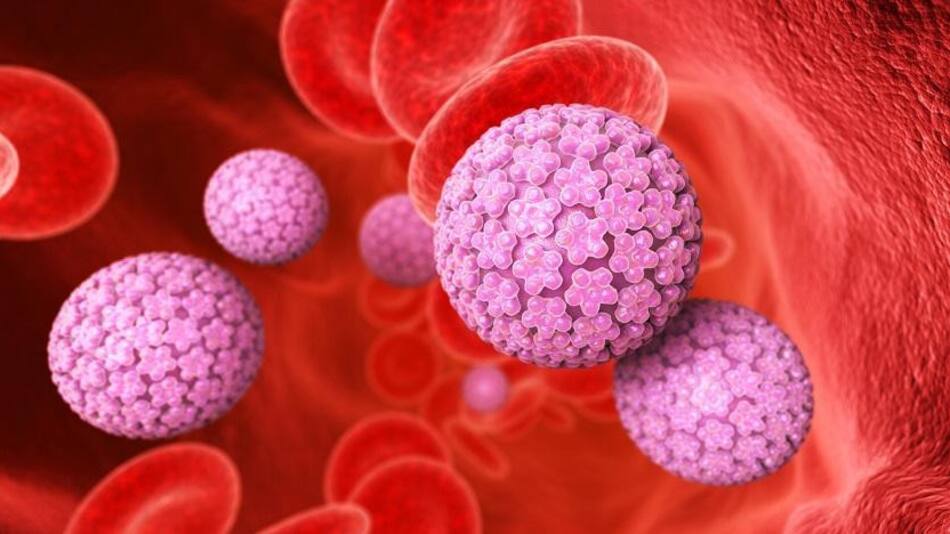 Virus del Papiloma Humano VPH - HVP, salud