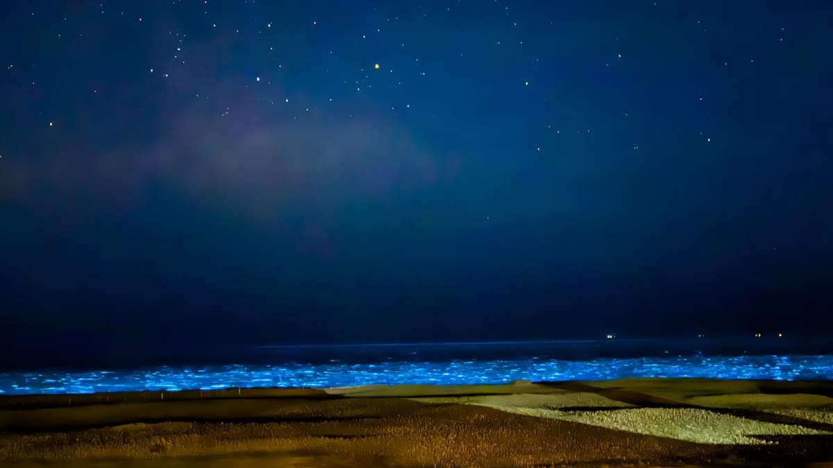 El mar se tiñó de celeste fluorescente en Uruguay. Foto X.