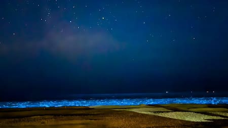El mar se tiñó de celeste fluorescente en Uruguay. Foto X.