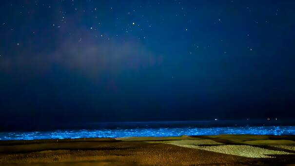 Un fenómeno impactante: las ''olas fluorescentes'' que cautivaron a los turistas en una playa uruguaya
