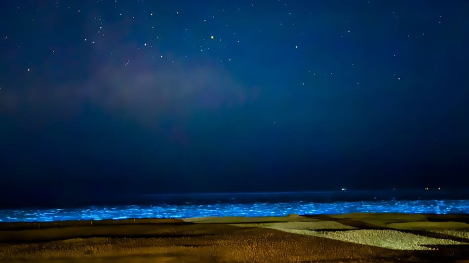 El mar se tiñó de celeste fluorescente en Uruguay. Foto X.