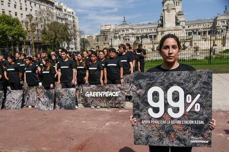 Manifestación frente al Congreso. Foto: Instagram/ @greenpeacearg