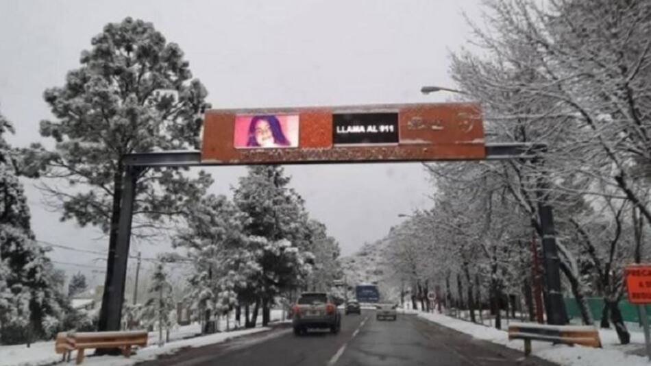 Búsqueda de Guadalupe Lucero