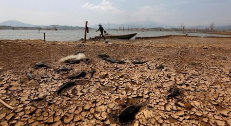 Calentamiento global, informe. Foto: REUTERS