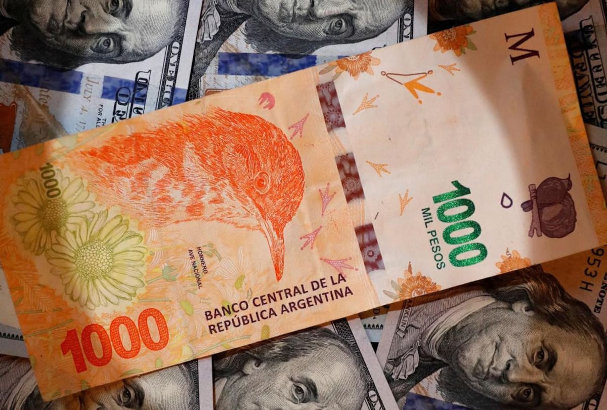 Billetes, pesos y dólares, NA