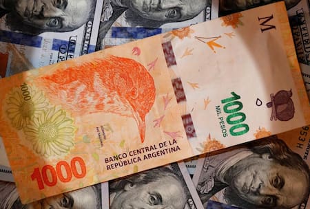 Billetes, pesos y dólares, NA