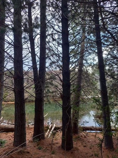 Laguna Larga, pueblo. Foto: X@turisargentina/Alejandro Hernández