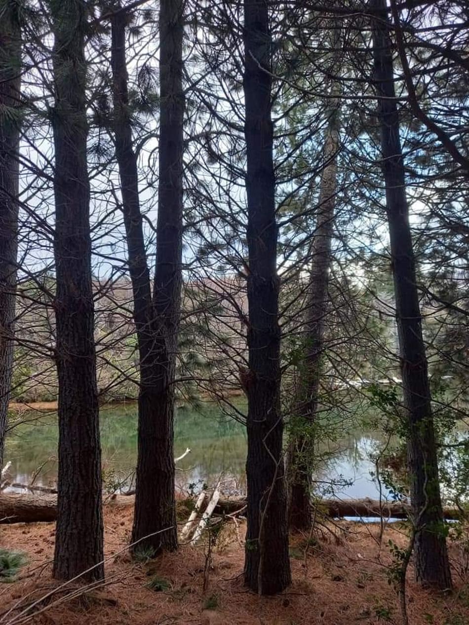 Laguna Larga, pueblo. Foto: X@turisargentina/Alejandro Hernández