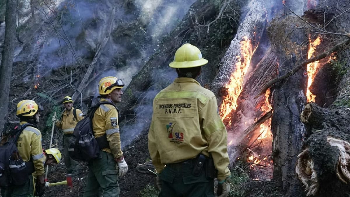 Parque Nacional Lanín: 50 brigadistas combatieron tres focos de incendio en terrenos de alta complejidad
