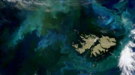 Las Islas Malvinas rodeadas de fitoplancton. Foto: Espectrómetro de Imágenes MODIS en el satélite Terra de la NASA
