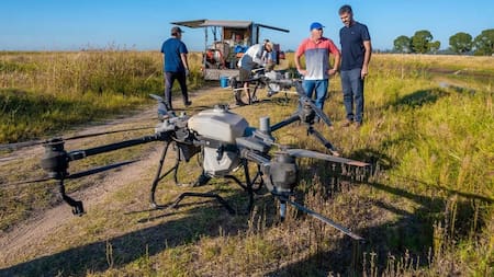 Una localidad bonaerense usará drones para combatir al barigüí, la “mosca que muerde” y preocupa a los habitantes