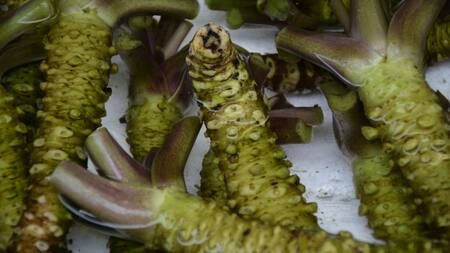 Wasabi, el condimento para la memoria. Foto: Unsplash