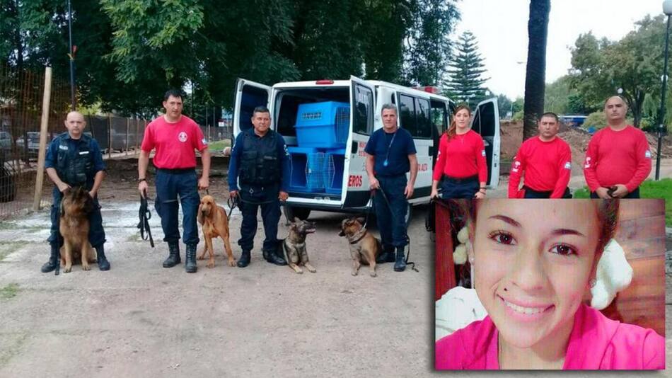 Perros en búsqueda de Daiana Garnica