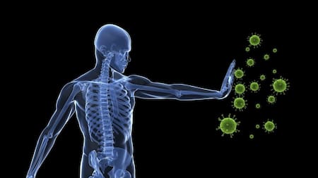 ¿Cómo evitar enfermedades?: las claves para entender el sistema inmunitario