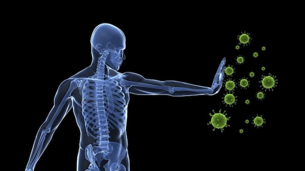 ¿Cómo evitar enfermedades?: las claves para entender el sistema inmunitario