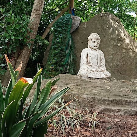 Mizujo, una encantadora aldea japonesa en Buenos Aires. Foto Instagram @mizujocampolibre_oficial
