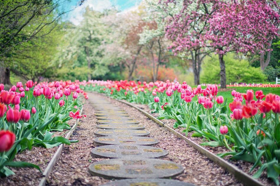 Primavera. Foto: Pixabay.