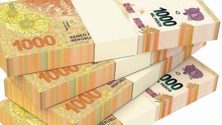 Billetes de 1000 pesos, dinero, pesos argentinos