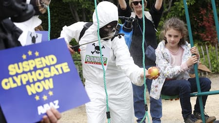 Francia cumple con lo prometido al campo: prohibirá alimentos tratados con un pesticida prohibido
