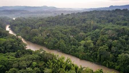 Conservación del ambiente en Ecuador. Fuente: The Nature Ecuador
