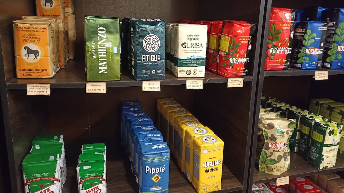 Fui al Museo del Mate y salí con una yerba nueva: aromas, sabores y cuánto cuestan