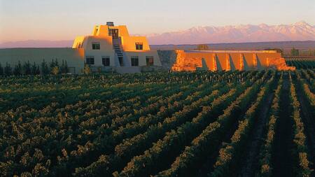 Bodega "Catena Zapata"