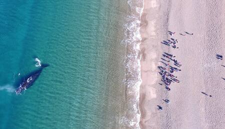 Playa El Doradillo, Chubut. Foto: X